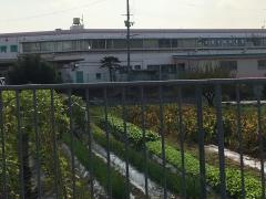 私部保育園
