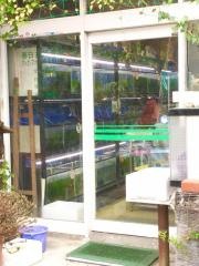 グッピーファーム春日井熱帯魚