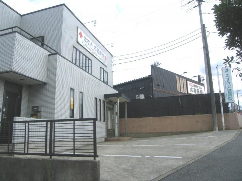 ますみ犬猫病院