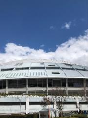 株式会社ナゴヤドーム