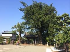 総世寺