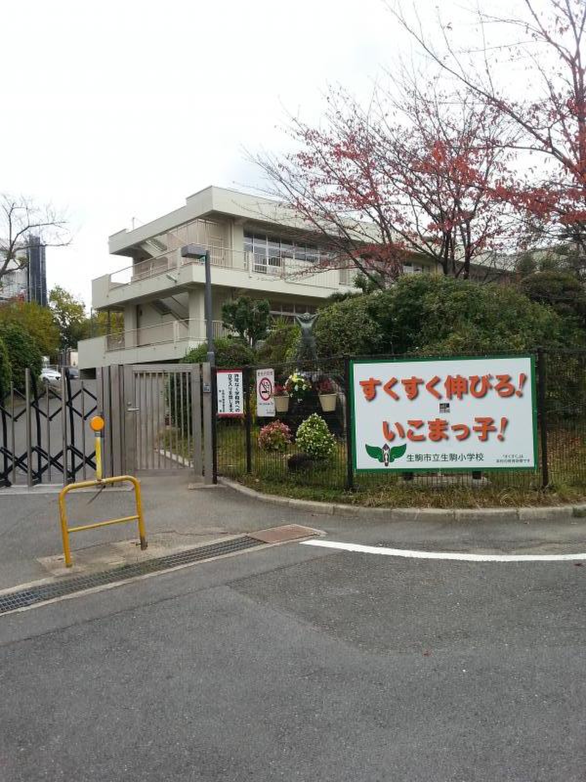 活動歴および当時の関連ビジュアル記録