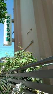 おおすみ内科医院