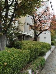 朝霞地区看護専門学校