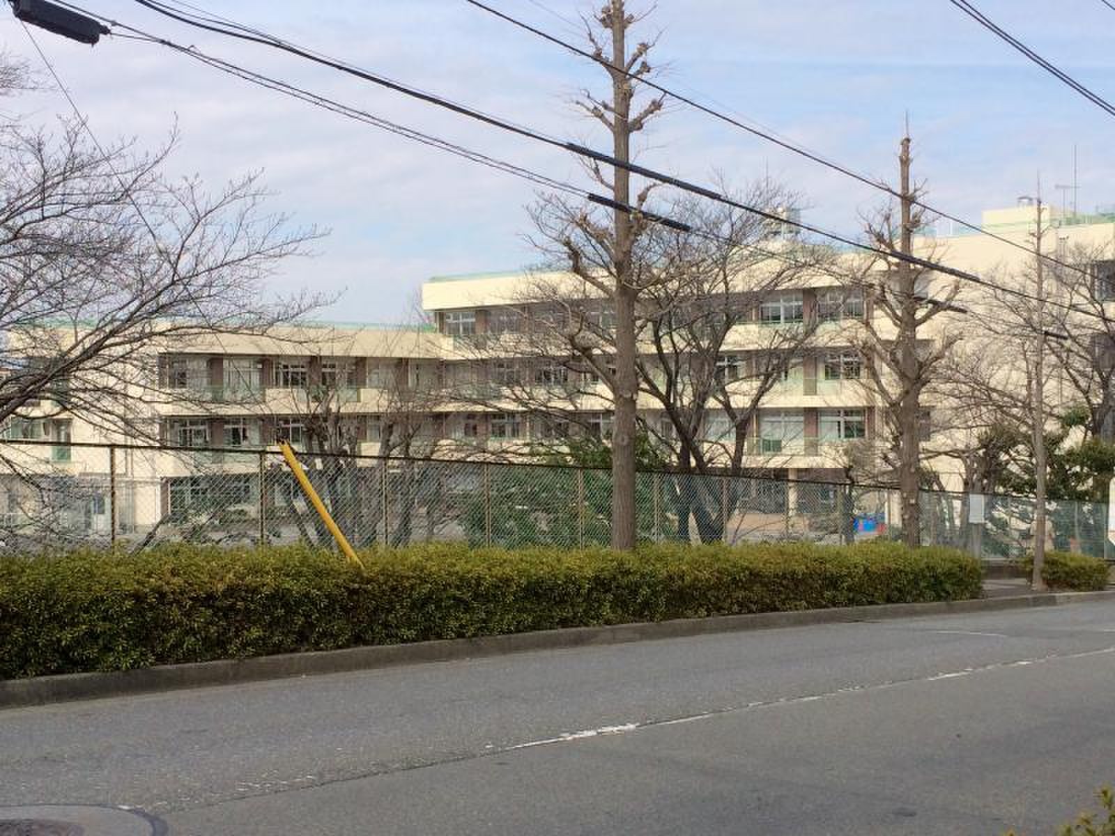 活動歴および当時の関連ビジュアル記録