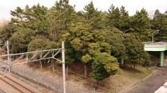 みなとが丘ふ頭公園