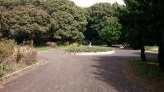 みなとが丘ふ頭公園