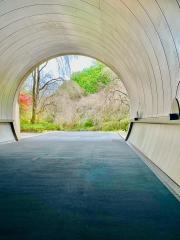 ＭＩＨＯ　ＭＵＳＥＵＭ