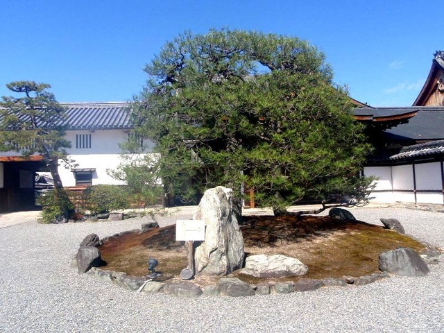 施設写真50