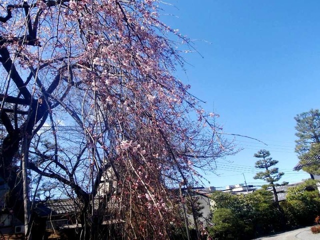 施設写真48