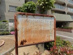 羽衣アオギリ緑地