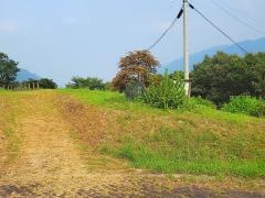 丸山公園
