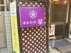 琴