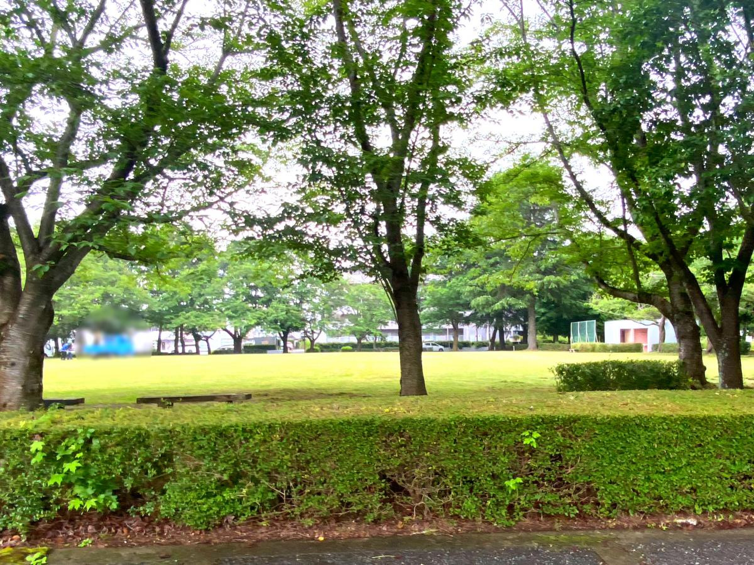 天 久保 公園