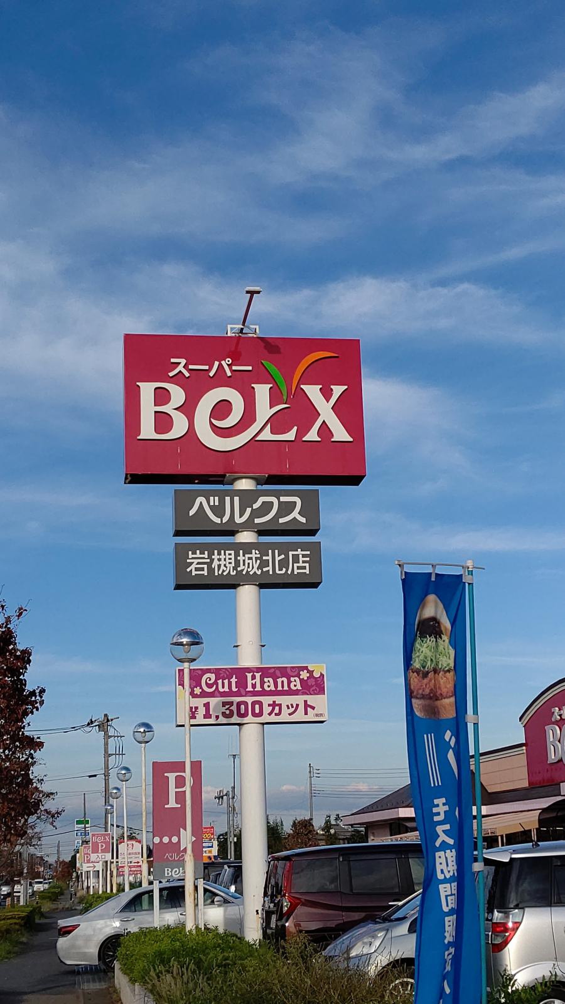 ベルクス 岩槻 城北 店