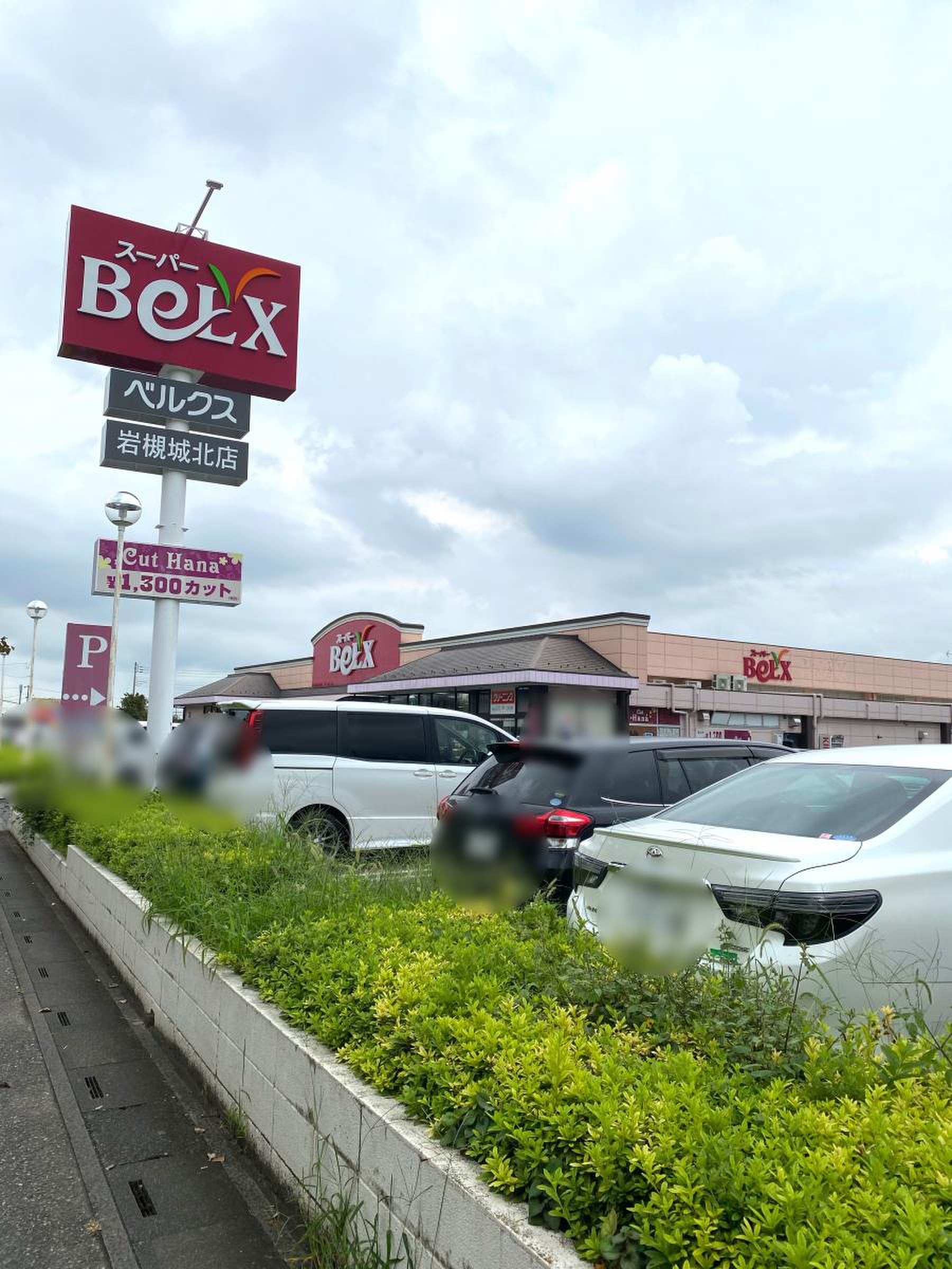 ベルクス 岩槻 城北 店