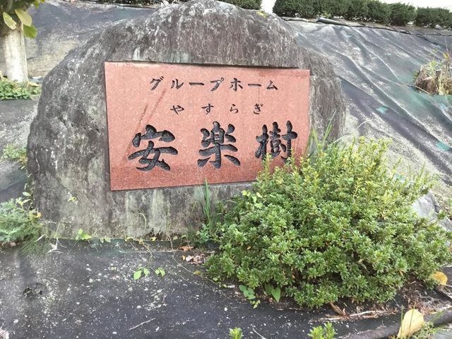 安楽樹 看板