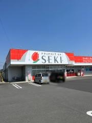 ドラッグストアセキ東大沼店