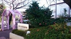 本村幼稚園