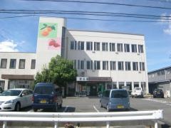 ＪＡぎふ糸貫支店