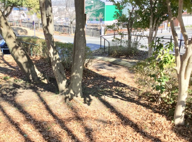 施設写真15