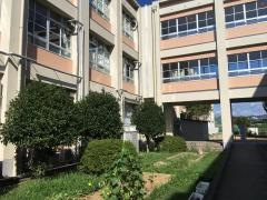 日根野小学校