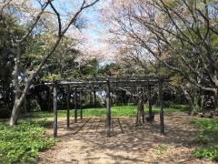 城山公園