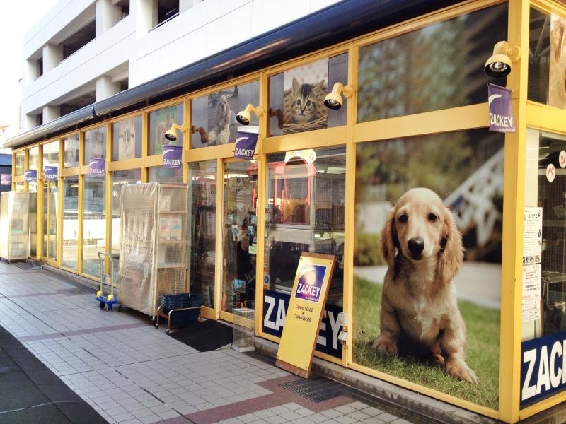 店舗の外観-2