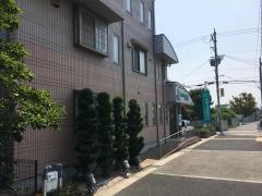 齊藤耳鼻咽喉科