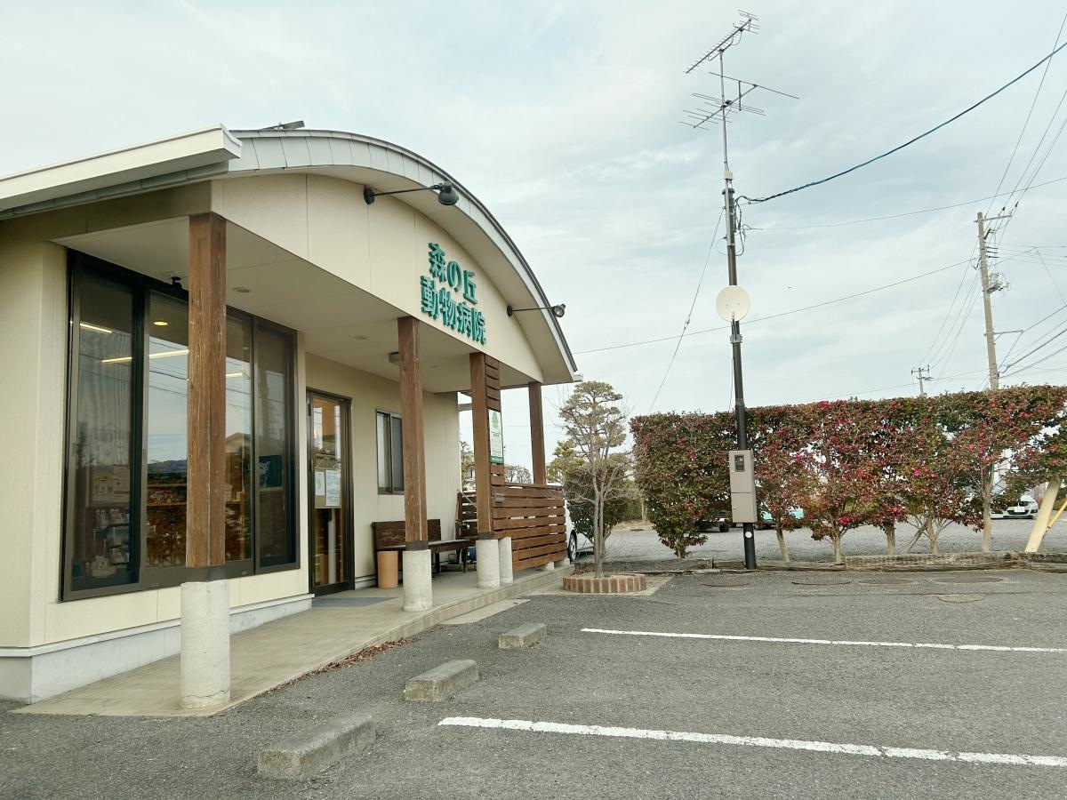 森の丘動物病院