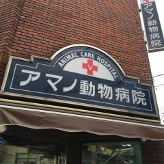 アマノ動物病院