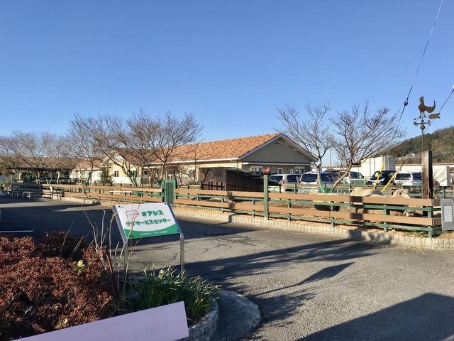 オアシス