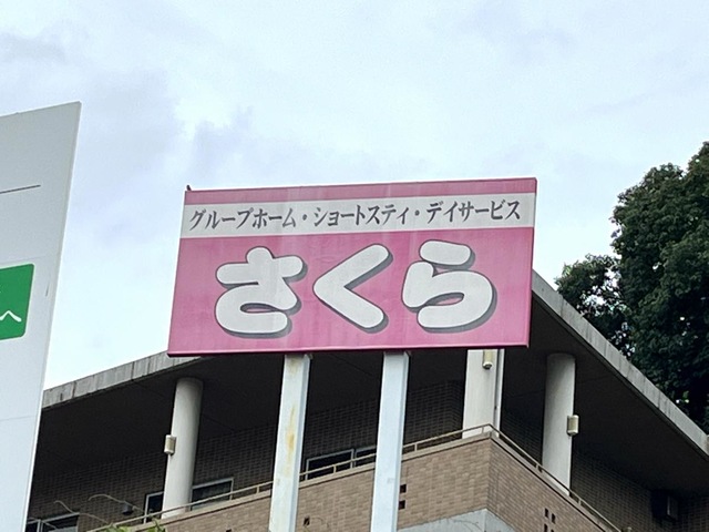 さくら