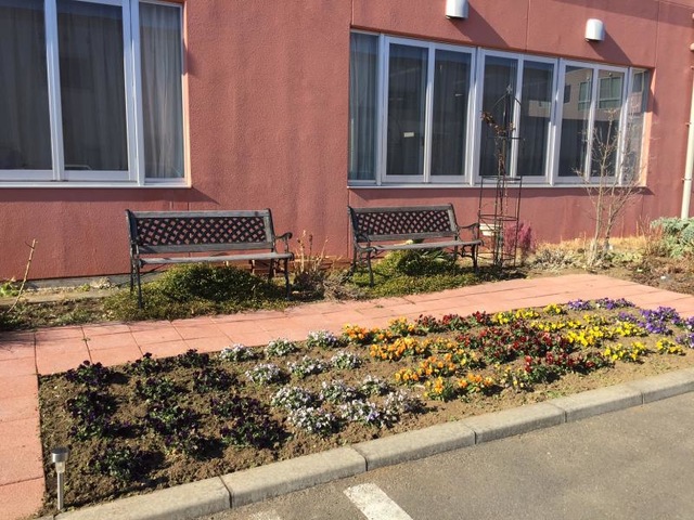 ラプラス津田