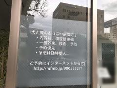 クウ動物　内視鏡医療センター