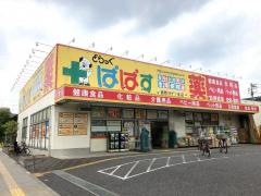 どらっぐぱぱす西新井5丁目店