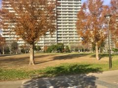 西新井さかえ公園