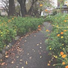 綾西緑地