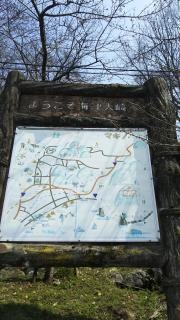 海津大崎