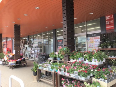 ホームメイト グッデイ古賀千鳥店