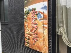 桜ばし