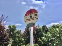 「下亀田」バス停留所