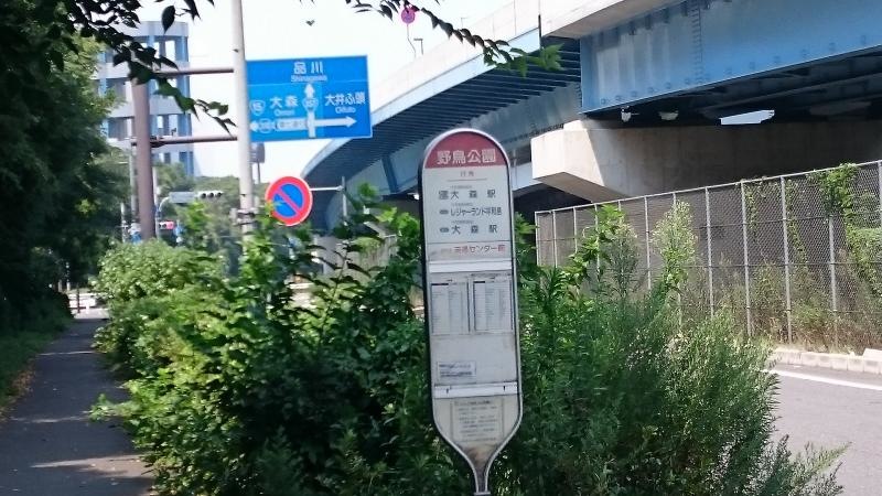 「野鳥公園」バス停留所