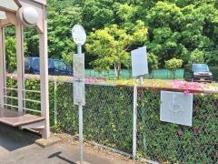 「昭和薬科大学」バス停留所