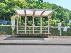 「昭和薬科大学」バス停留所