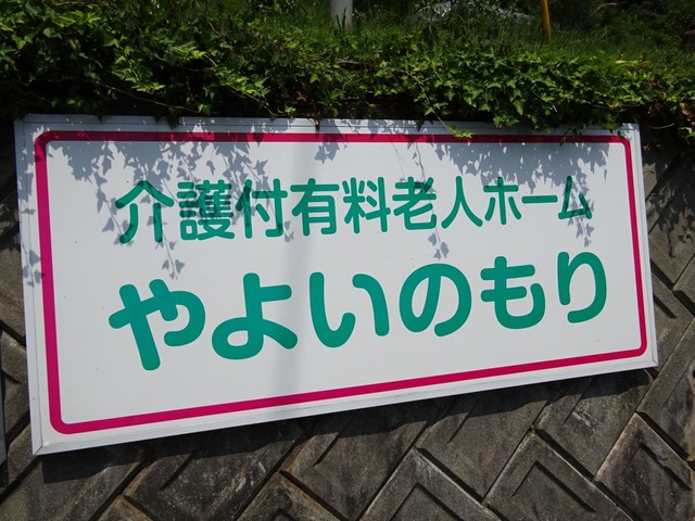やよいのもり