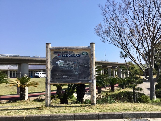 うぇるさんて大洋