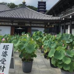 中山寺庭園