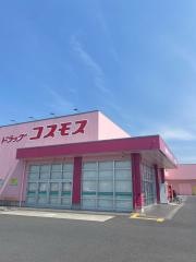 ドラッグストアコスモス　東出雲店