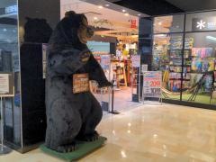 スーパースポーツゼビオ　ダイバーシティ東京プラザ店